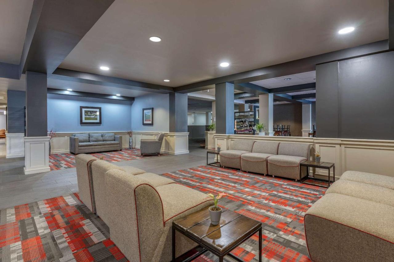 Inn Quality -horse Park