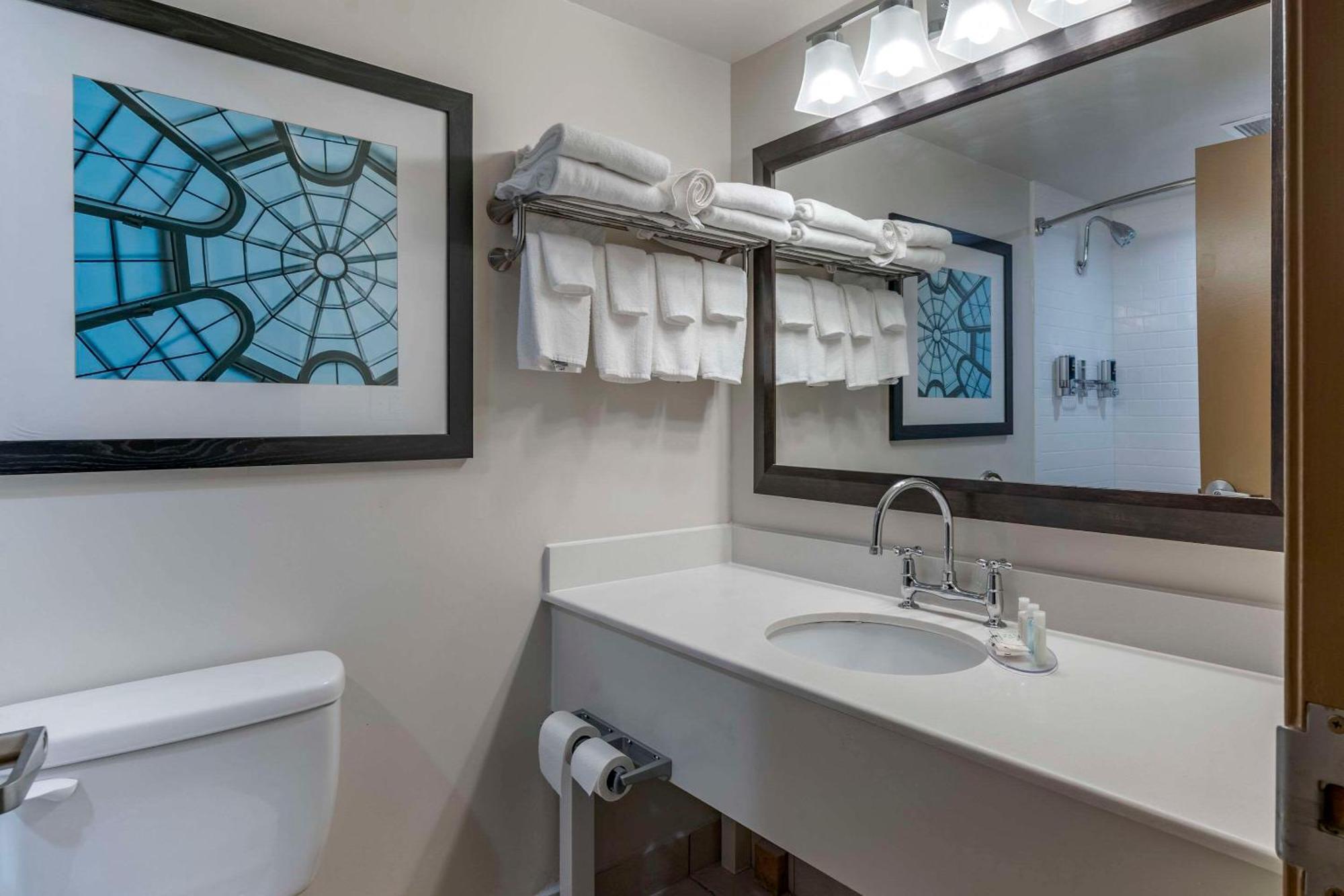 Quality -horse Park Inn Lexington